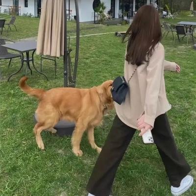 感受热浪